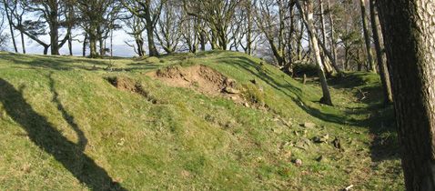 The Chesters Hill Fort
